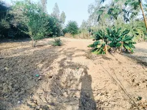 Plot 50 X 50