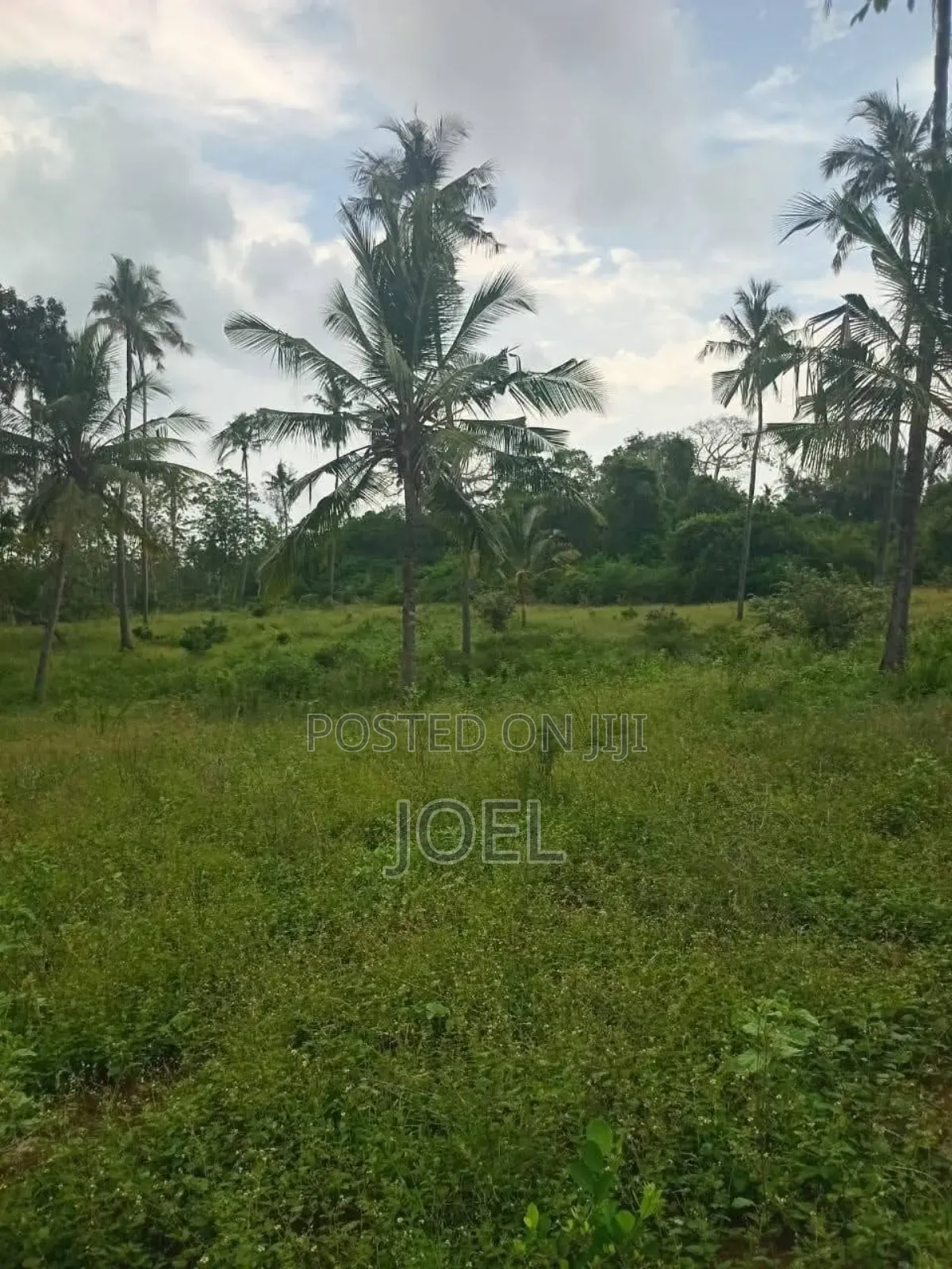 20 Acres Malindi Land, Title Deed Is Available