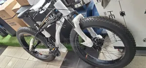 Adult Fat Tyre Bike
