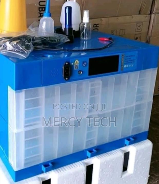 256eggs Eggs Incubator