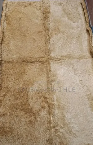 Fluffy Bedside Carpets Size: 4*6 (90*200cm) Sk