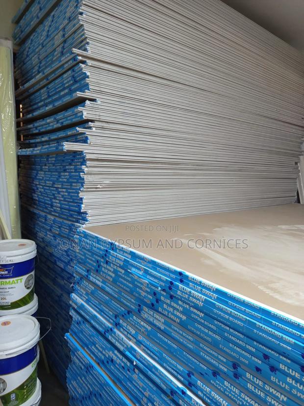 Blue Swan Boards
