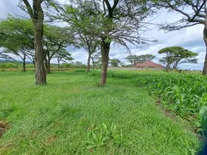 6 Acres Rongai