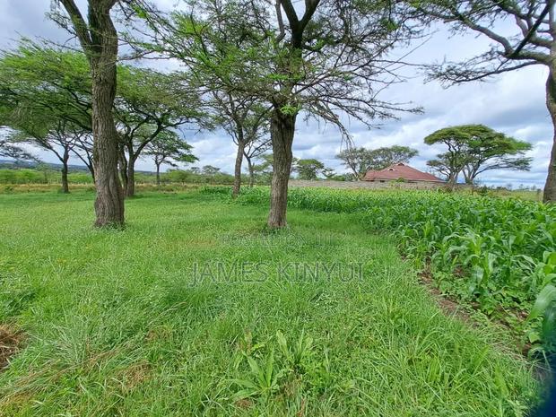 6 Acres Rongai - thumbnail 2