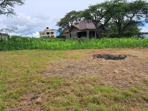6 Acres Rongai