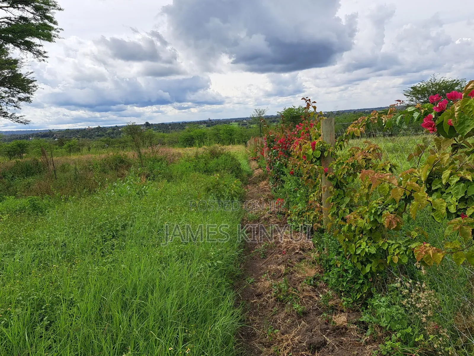 6 Acres Rongai