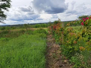 6 Acres Rongai