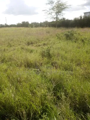 Available 5,7, 10 and 20 Acres Land for Sale in Kajiado County