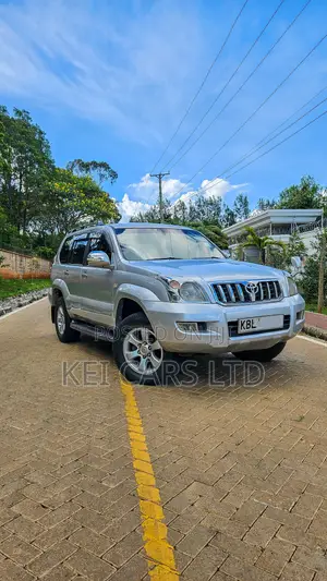 Toyota Land Cruiser 2003 Silver