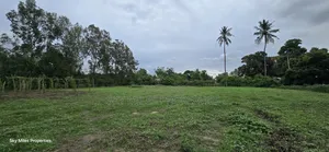 Mtwapa Animo - 2 Acre Land Available for Sale