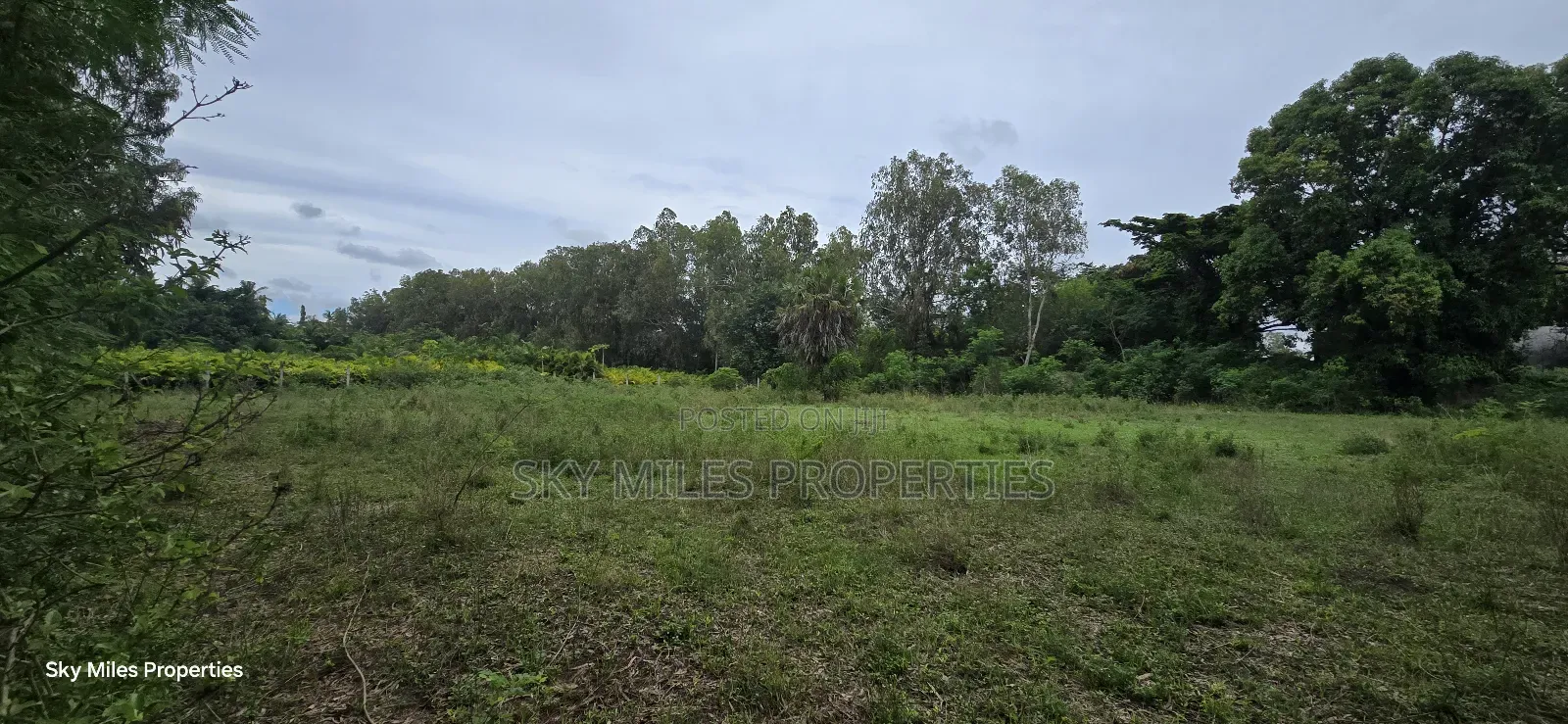Mtwapa Animo - 2 Acre Land Available for Sale