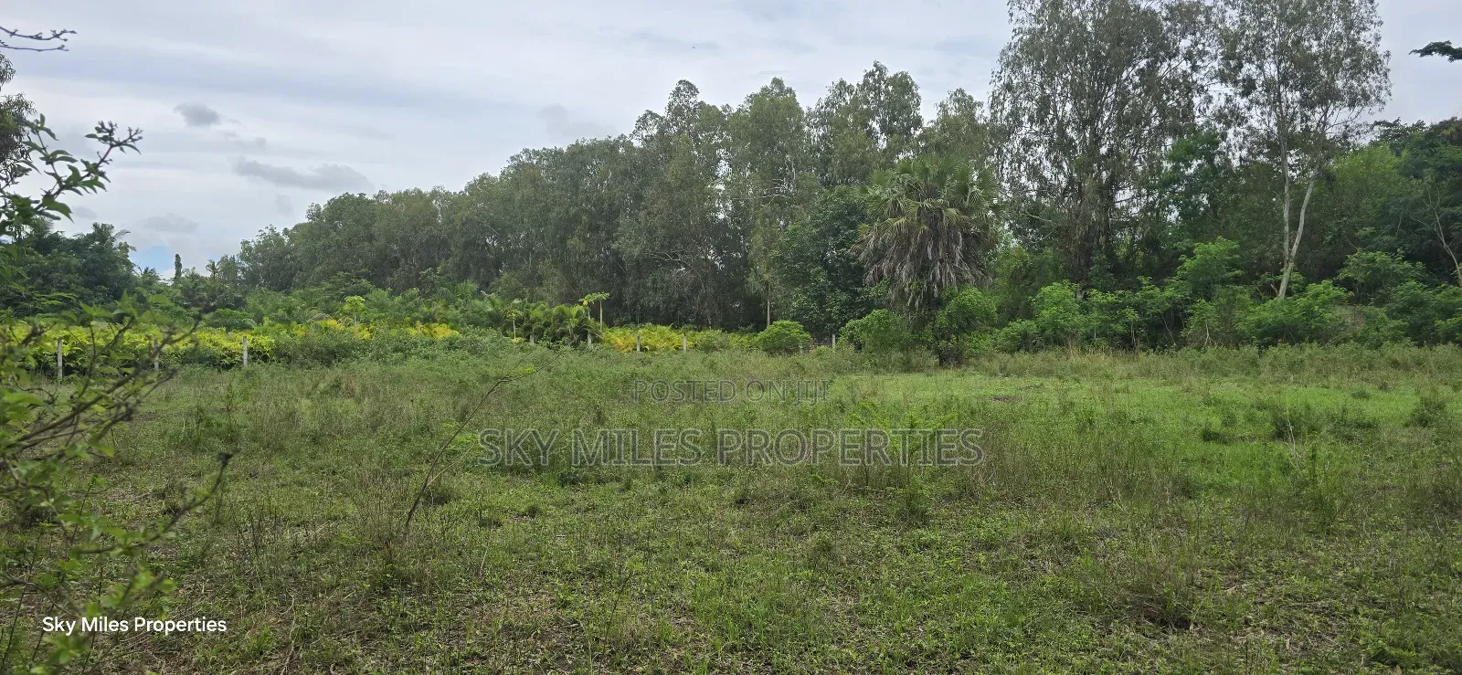 Mtwapa Animo - 2 Acre Land Available for Sale