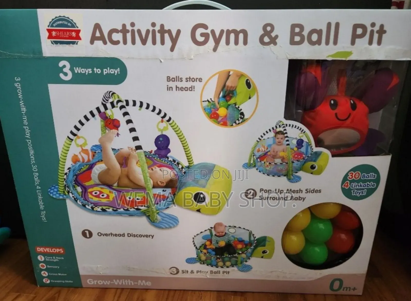 3-in-1 Baby Activity Gym and Ball Pit
