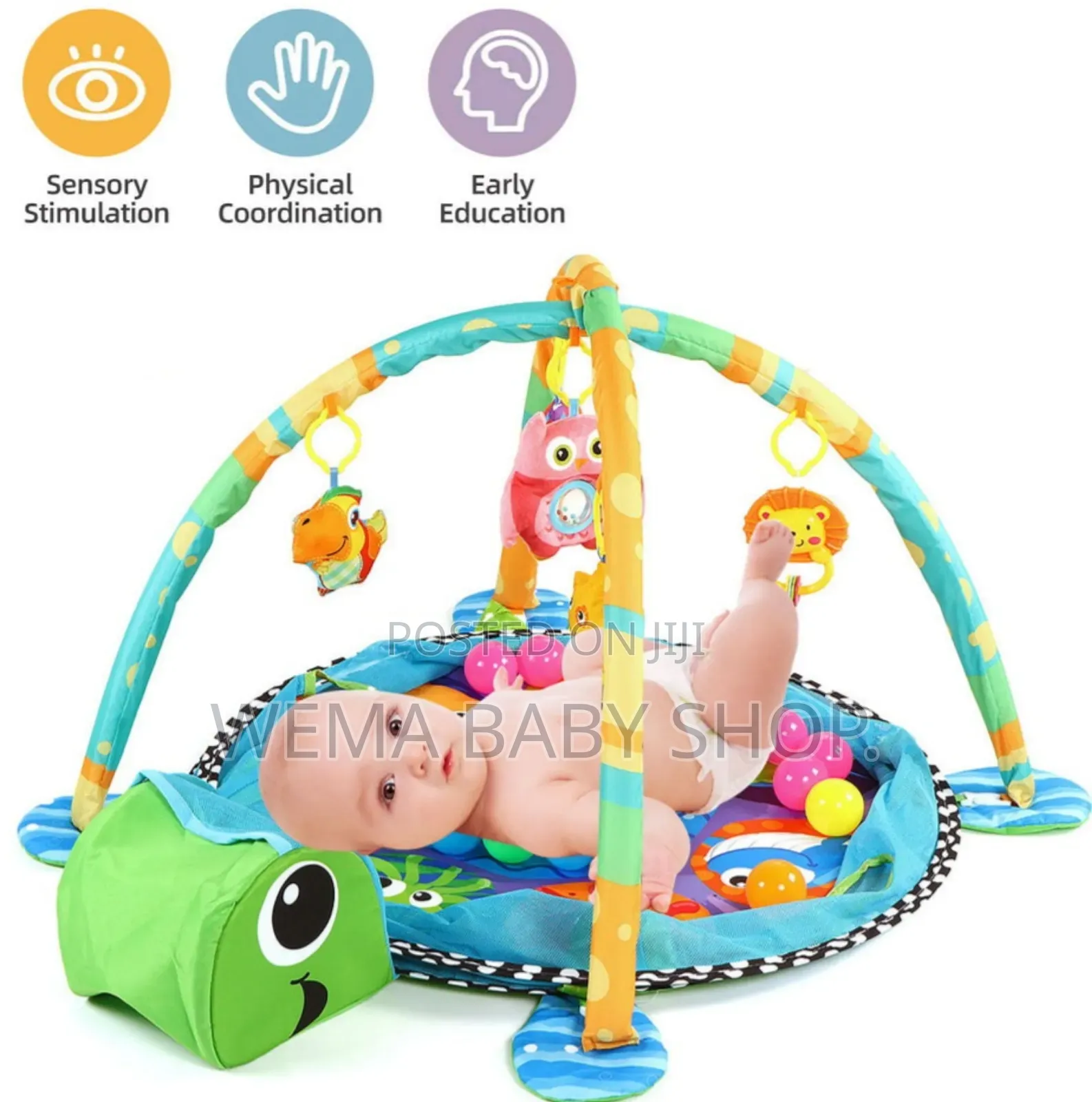 3-in-1 Baby Activity Gym and Ball Pit