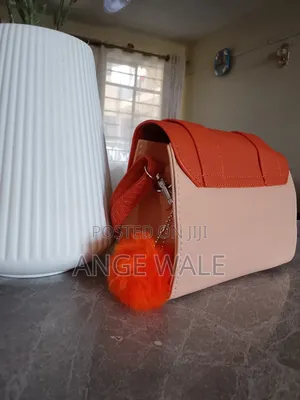 Ladies Hand Bags