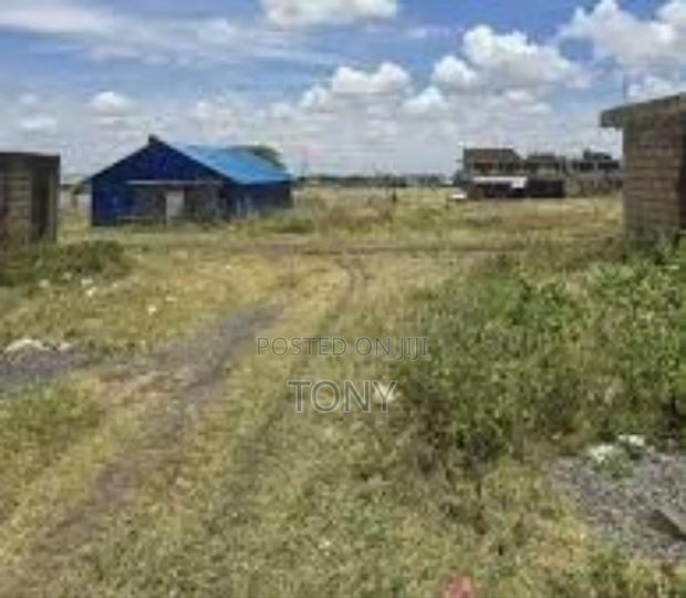 1/8 Acre (100 by 150) Plot Birika Town