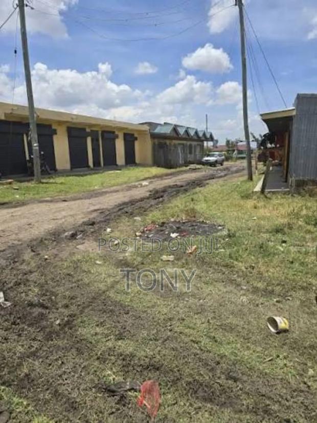 1/8 Acre (100 by 150) Plot Birika Town - thumbnail 2