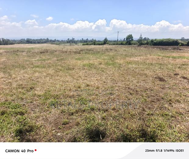Prime 24 Acre Land for Sale in Ngata
