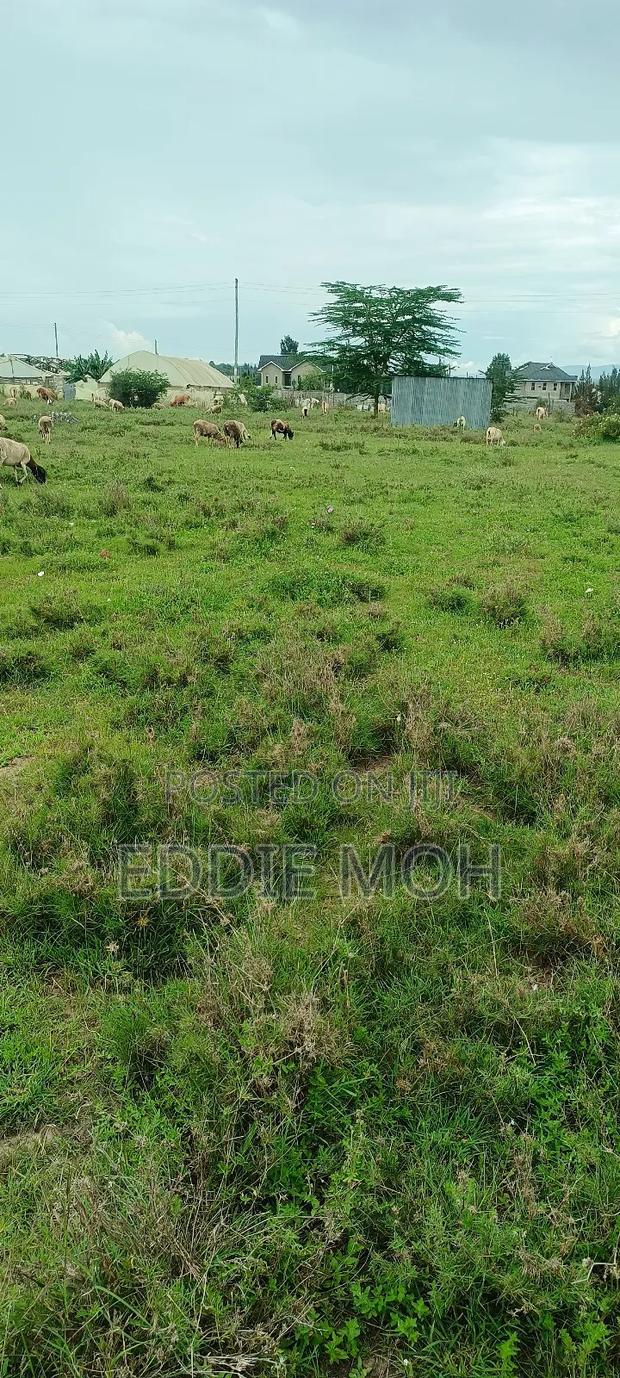 Kitengela Prime Residential Plot 50*100 Kag University - thumbnail 4