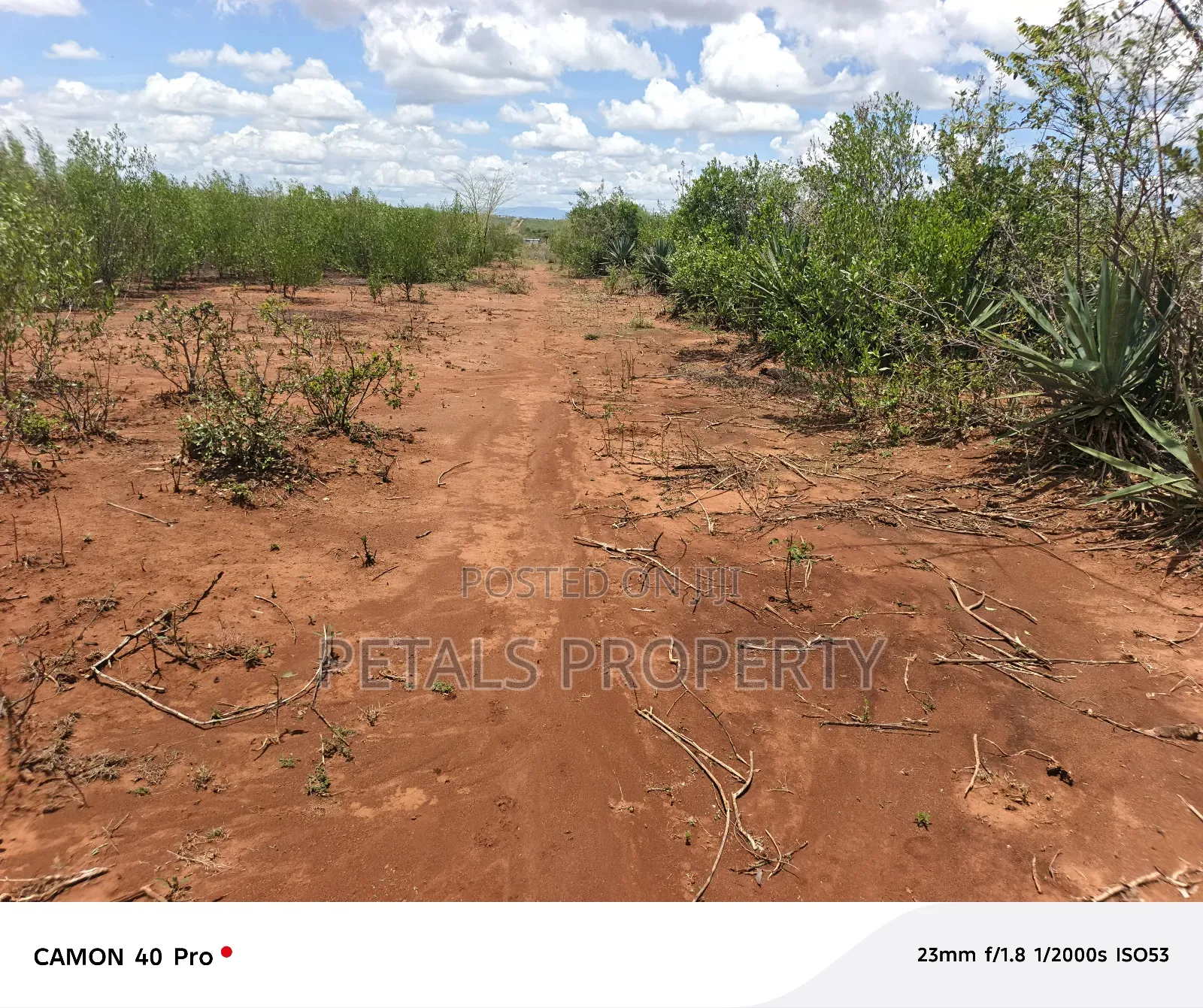 20 Acres for Sale in Mugurin Mogotio