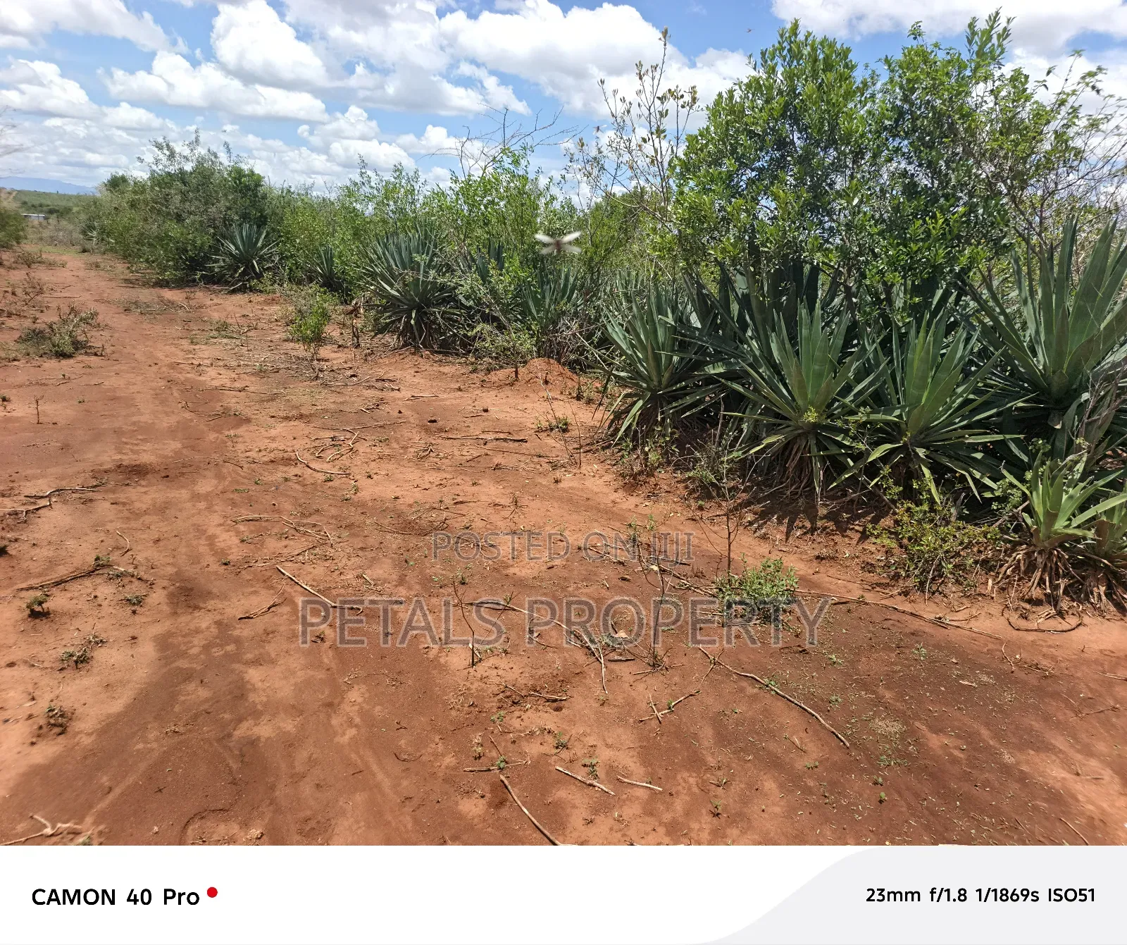 20 Acres for Sale in Mugurin Mogotio