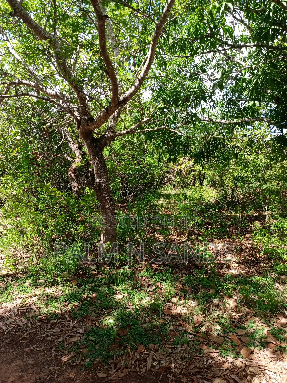 One Acre Villa Mandhari Area Diani on Sale!