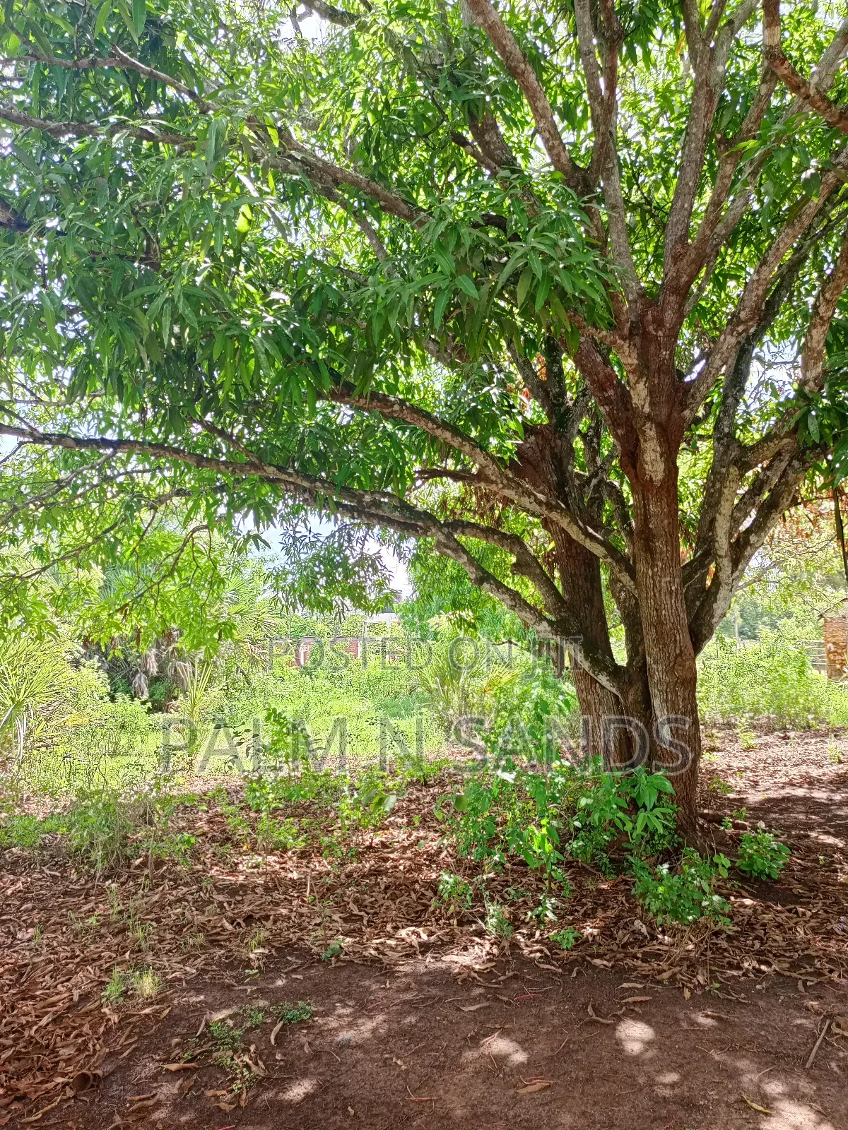 One Acre Villa Mandhari Area Diani on Sale!
