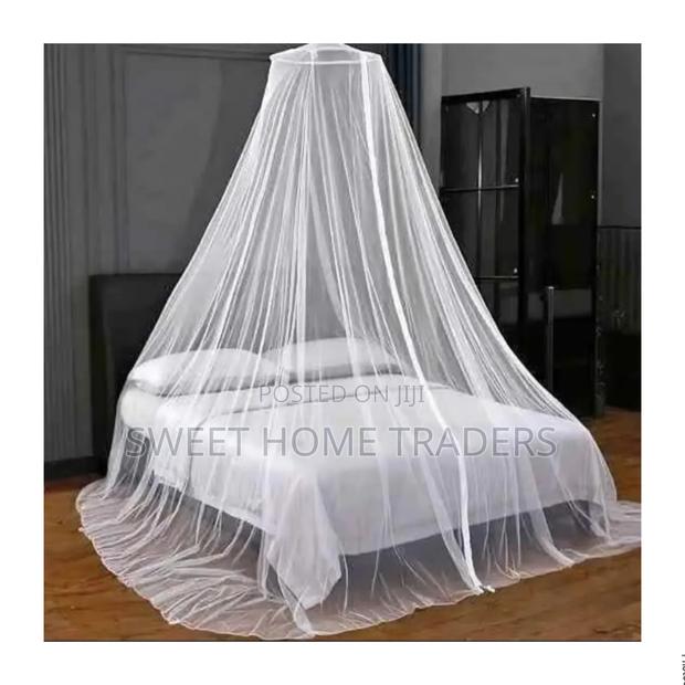 School Round Mosquito Net