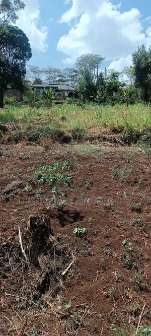 Ngong Land