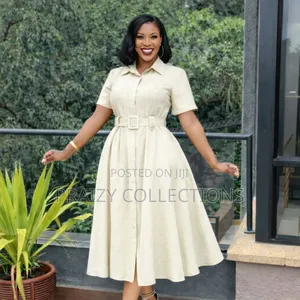 Chic Shirt Buttoned-Down Skater Dress