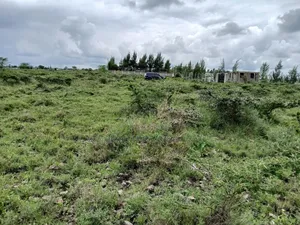 Prime 100 by 100 Plot in Kitengela, Korompoi on Quick Sale