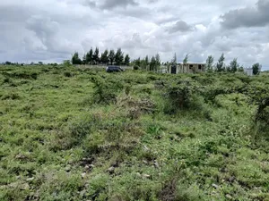 Prime 100 by 100 Plot in Kitengela, Korompoi on Quick Sale