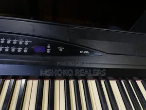 Korg Digital Weighted 88 Keys Piano