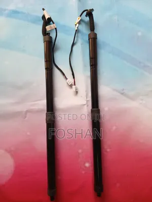 Nx 200/300 Electric Bootshocks