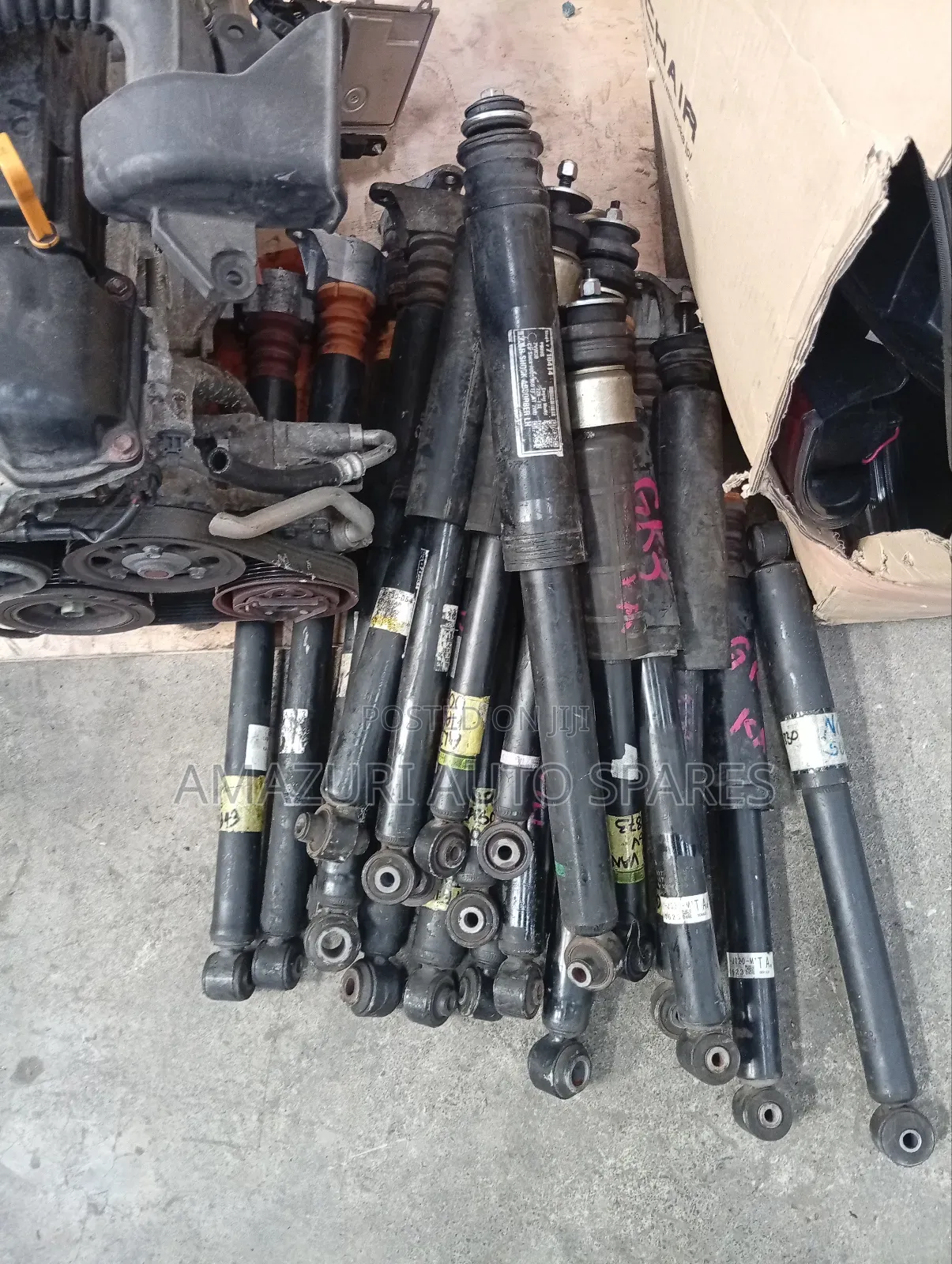 Rear Shocks