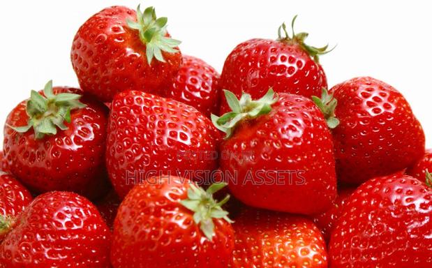 Strawberry Gardens - main view