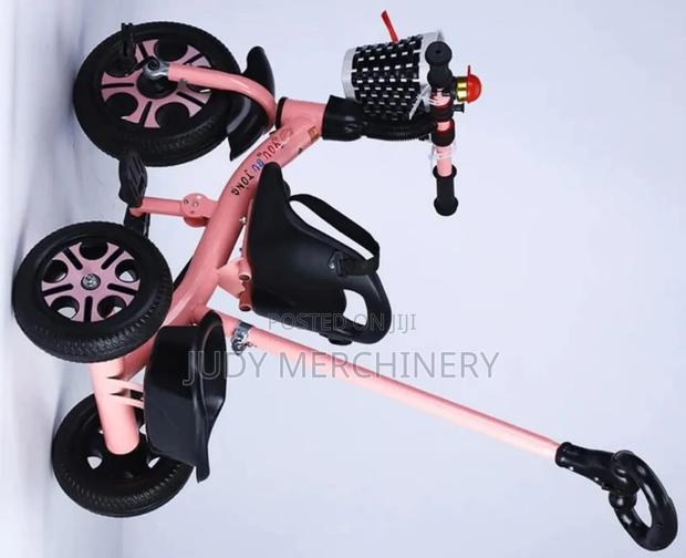 Tricycle With Push Handle-Girl's Version
