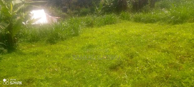 40/80 Gordathi Njiku Kiambu Plot for Sale - thumbnail 2