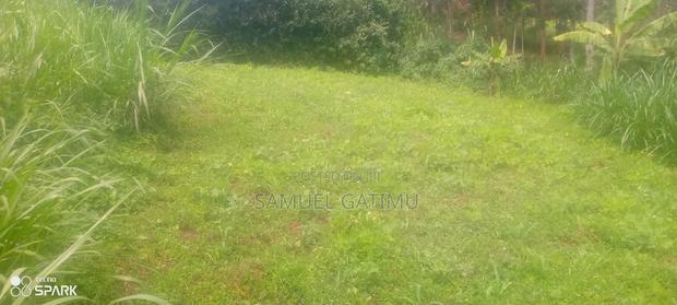 40/80 Gordathi Njiku Kiambu Plot for Sale