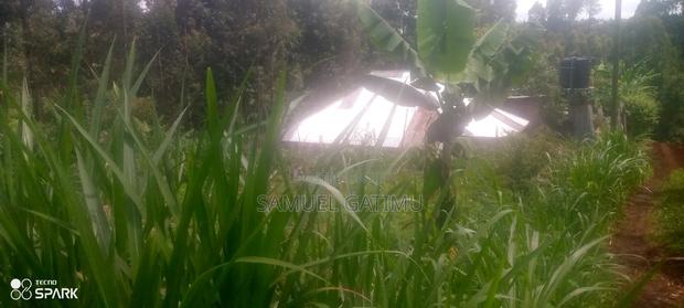 40/80 Gordathi Njiku Kiambu Plot for Sale - thumbnail 6