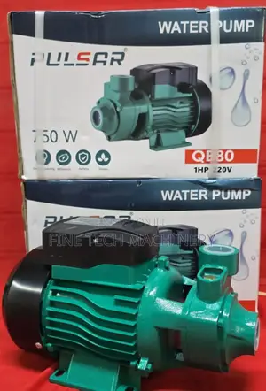 Pulsar Qe 30 Water Pump