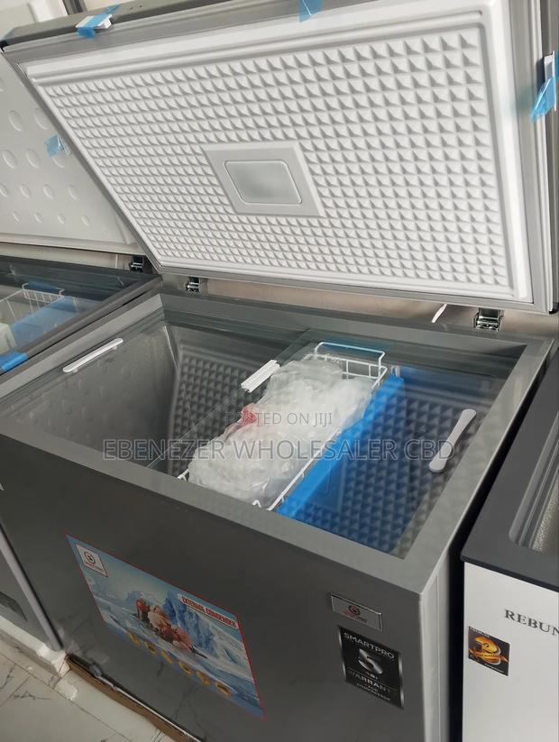 Big New Freezer - thumbnail 2