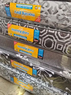 Morning Glory 6x6 10 Inch Foam Mattress Medium Density
