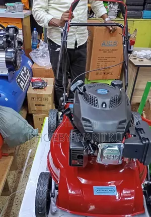 Professional Lawn Mower/Lawn Mower Machine