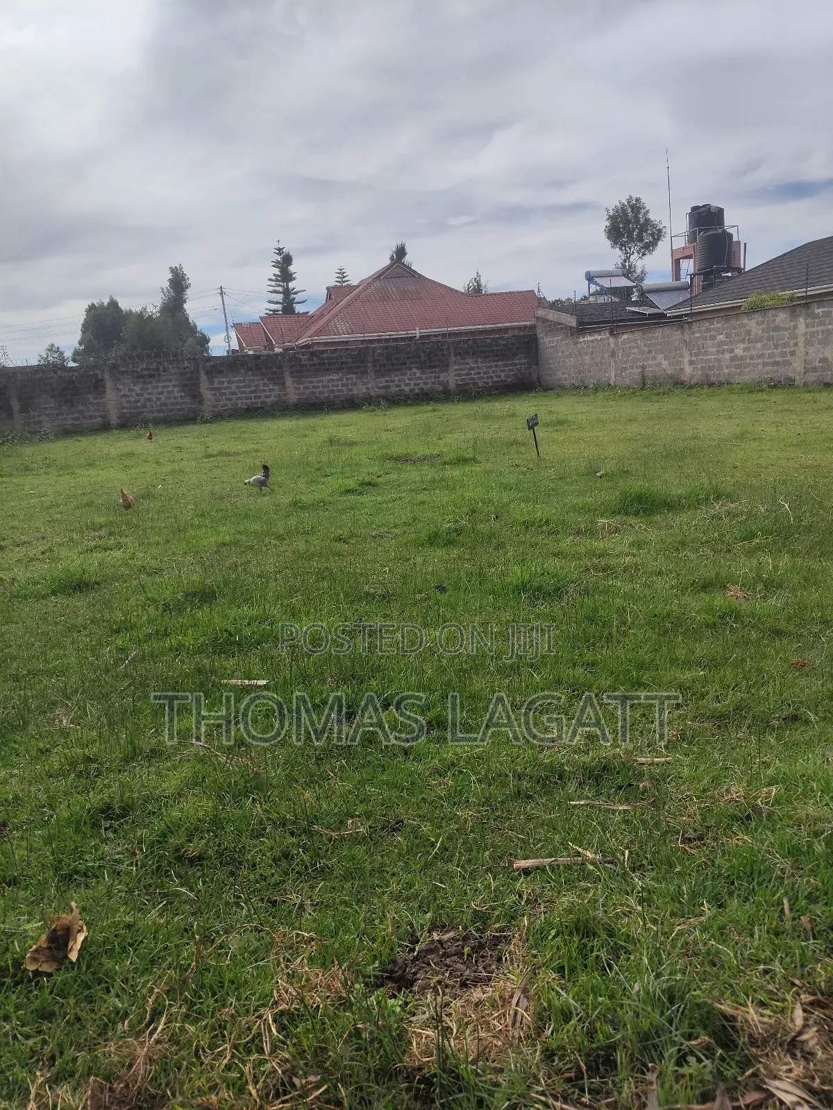 Eldoret Upper-Elgon Elgonview Blossom