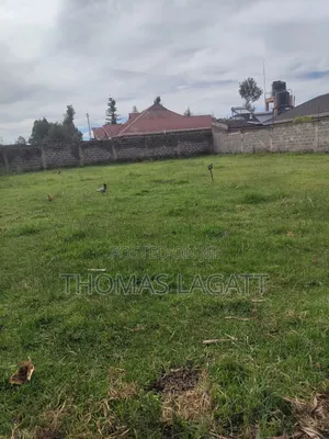 Eldoret Upper-Elgon Elgonview Blossom