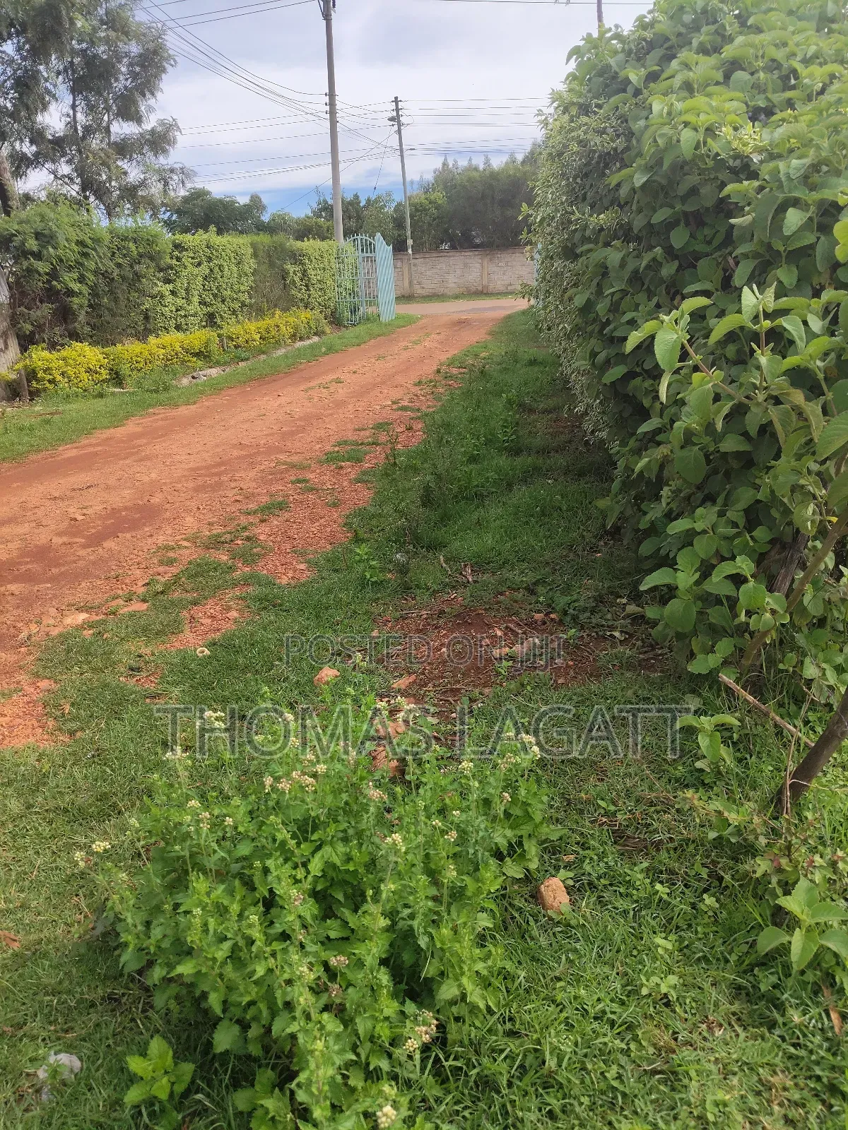 Eldoret Upper-Elgon Elgonview Blossom