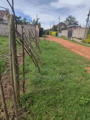Eldoret Upper-Elgon Elgonview Blossom
