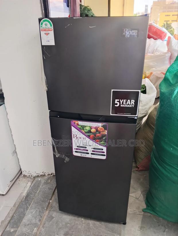 Non Frost Fridge Roch Silver
