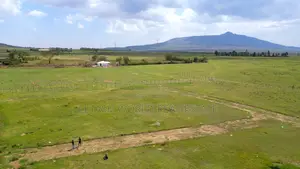 Land in Naivasha for Sale 50*100 Plots ,Mirera Area
